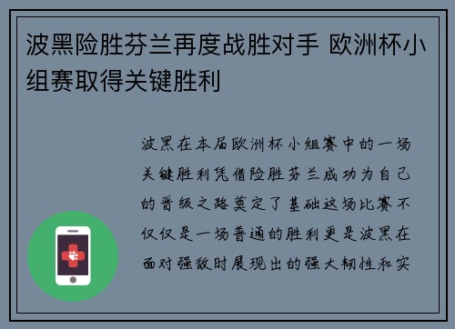 波黑险胜芬兰再度战胜对手 欧洲杯小组赛取得关键胜利