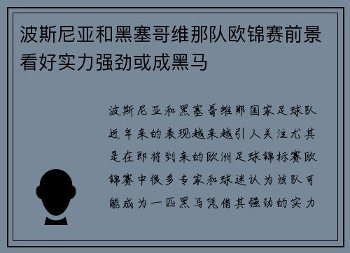 波斯尼亚和黑塞哥维那队欧锦赛前景看好实力强劲或成黑马